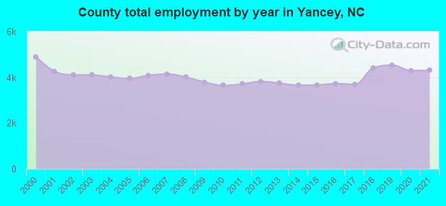 County total employment by year in Yancey, NC