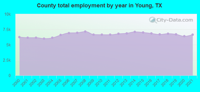 County total employment by year in Young, TX