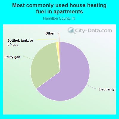 Most commonly used house heating fuel in apartments