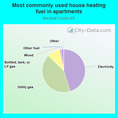 Most commonly used house heating fuel in apartments