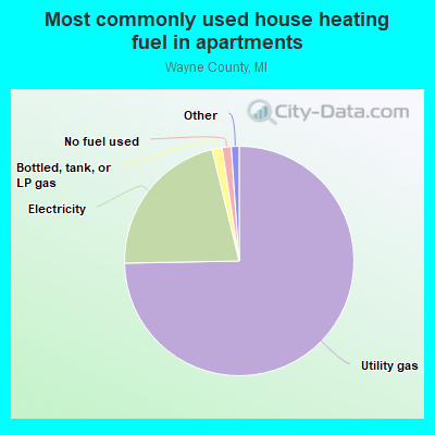 Most commonly used house heating fuel in apartments