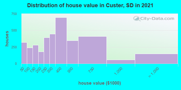 Distribution of house value in Custer, SD in 2022