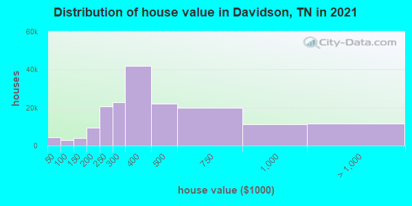 Distribution of house value in Davidson, TN in 2021