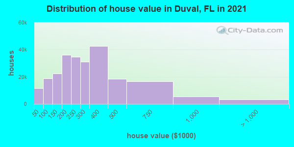Distribution of house value in Duval, FL in 2021