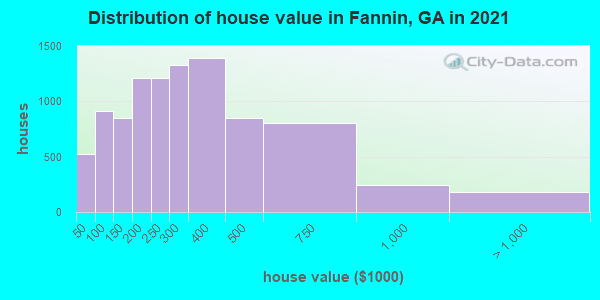Distribution of house value in Fannin, GA in 2021