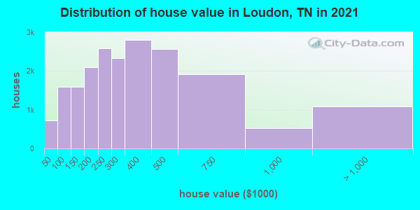 Distribution of house value in Loudon, TN in 2022