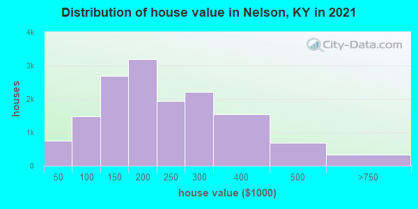 Distribution of house value in Nelson, KY in 2021