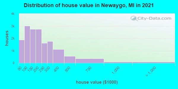 Distribution of house value in Newaygo, MI in 2019