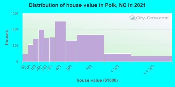 Distribution of house value in Polk, NC in 2019