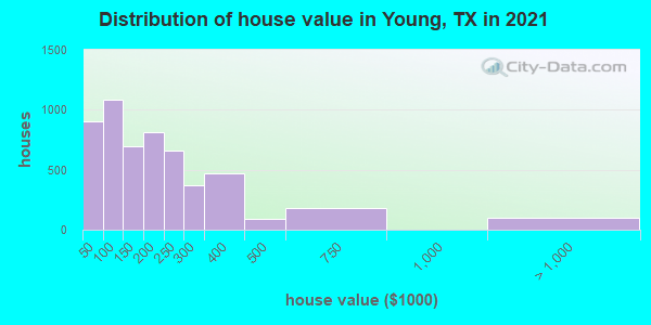 Distribution of house value in Young, TX in 2019