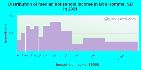Distribution of median household income in Bon Homme, SD in 2019