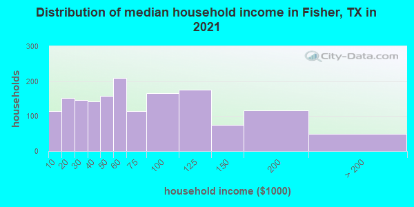 Distribution of median household income in Fisher, TX in 2019