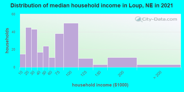 Distribution of median household income in Loup, NE in 2019