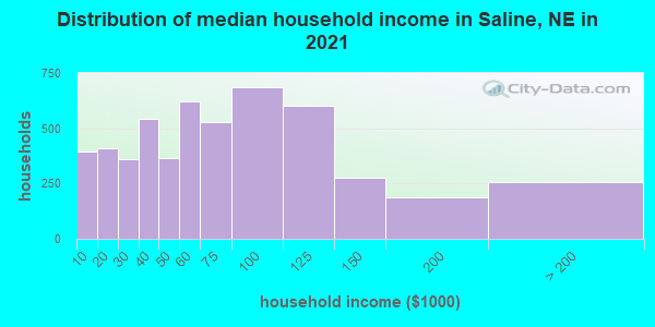 Distribution of median household income in Saline, NE in 2019