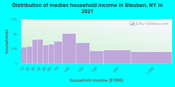 Distribution of median household income in Steuben, NY in 2019