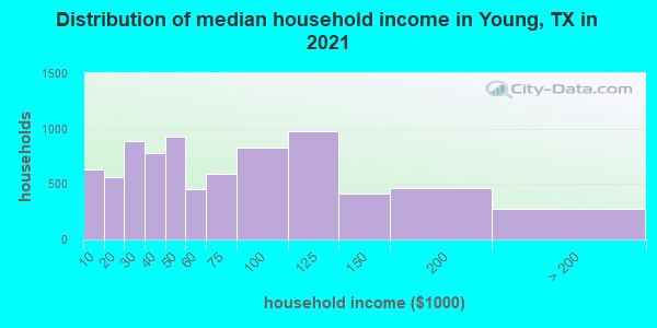 Distribution of median household income in Young, TX in 2019