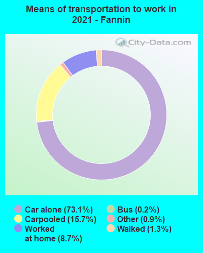 Means of transportation to work in 2022 - Fannin