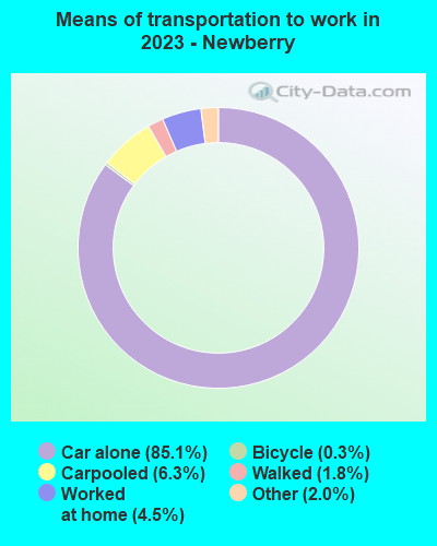 Means of transportation to work in 2021 - Newberry