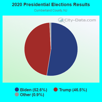 2020 Presidential Elections Results