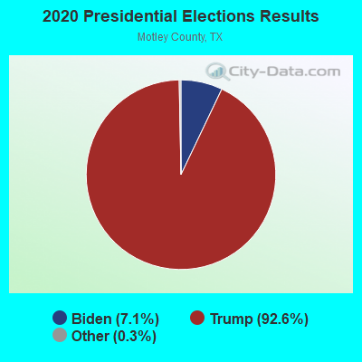 2020 Presidential Elections Results