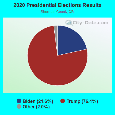 2020 Presidential Elections Results