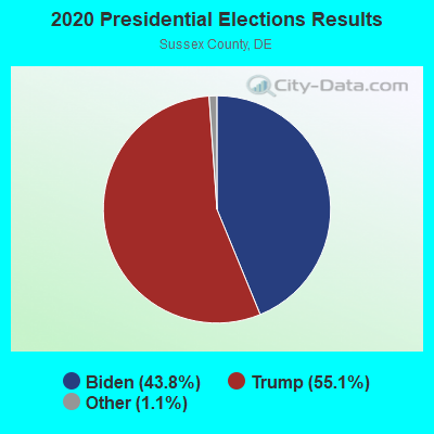 2020 Presidential Elections Results