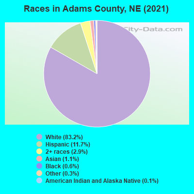 Races in Adams County, NE (2019)