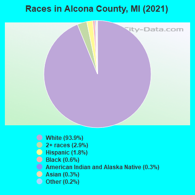Races in Alcona County, MI (2021)