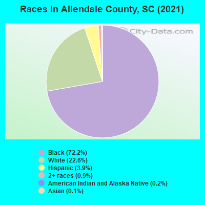 Races in Allendale County, SC (2021)