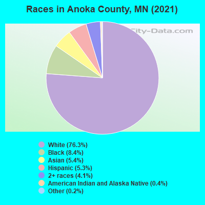 Races in Anoka County, MN (2021)
