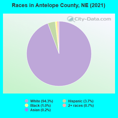 Races in Antelope County, NE (2019)