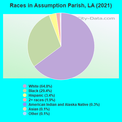 Races in Assumption Parish, LA (2019)