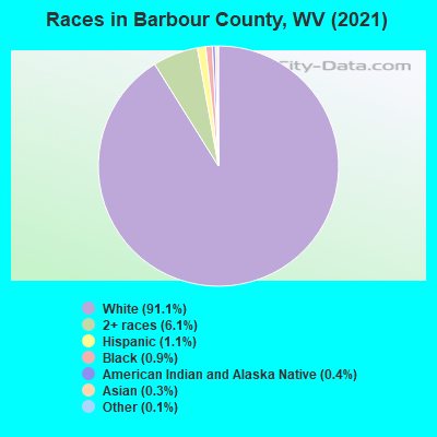 Races in Barbour County, WV (2022)