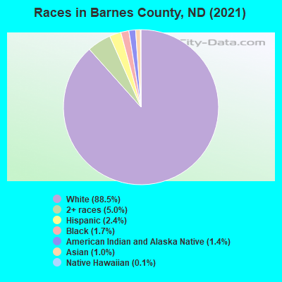 Races in Barnes County, ND (2021)