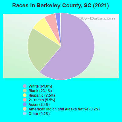 Races in Berkeley County, SC (2021)