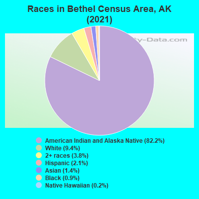 Races in Bethel Census Area, AK (2022)