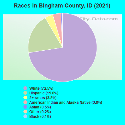Races in Bingham County, ID (2022)