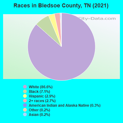 Races in Bledsoe County, TN (2022)