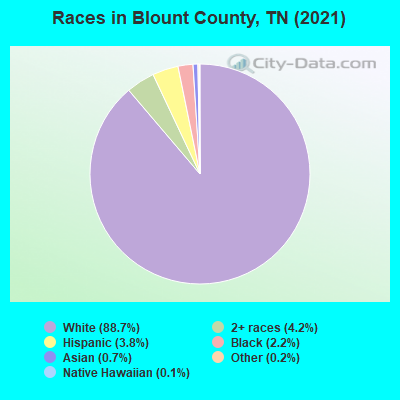 Races in Blount County, TN (2019)