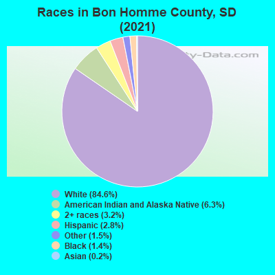 Races in Bon Homme County, SD (2022)