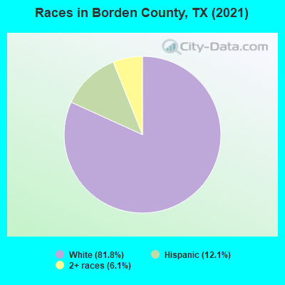 Races in Borden County, TX (2019)