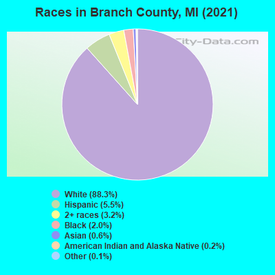 Races in Branch County, MI (2021)