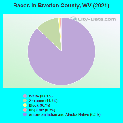 Races in Braxton County, WV (2022)