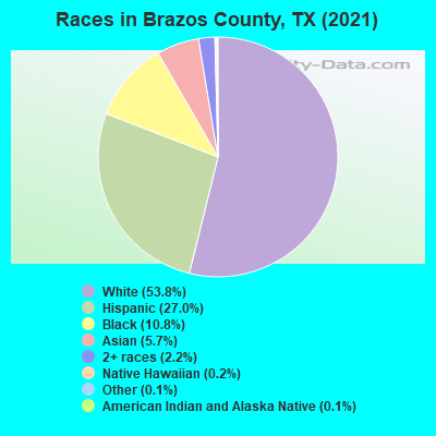 Races in Brazos County, TX (2019)