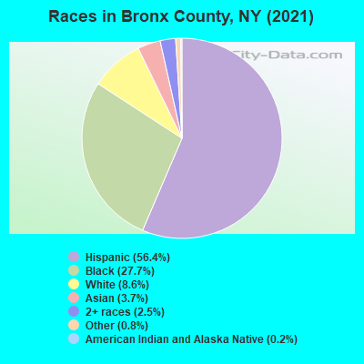 Races in Bronx County, NY (2021)