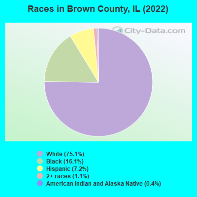 Races in Brown County, IL (2019)