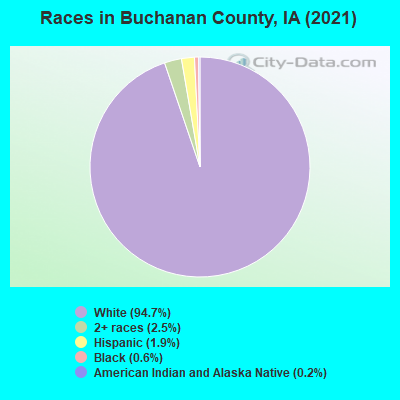 Races in Buchanan County, IA (2019)