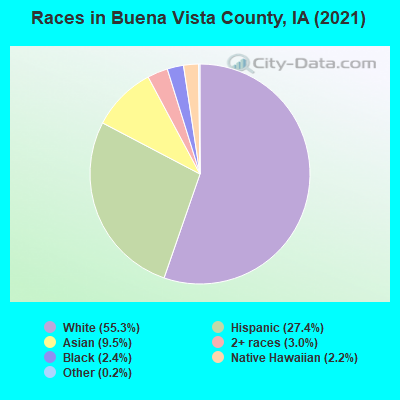 Races in Buena Vista County, IA (2022)