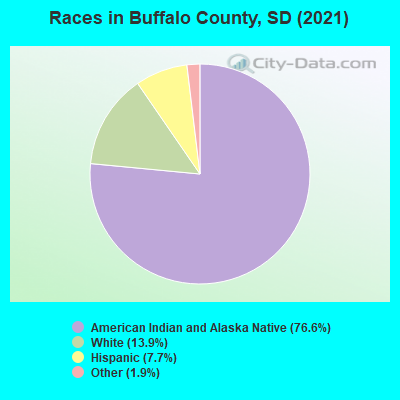 Races in Buffalo County, SD (2022)