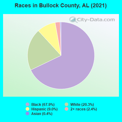 Races in Bullock County, AL (2019)